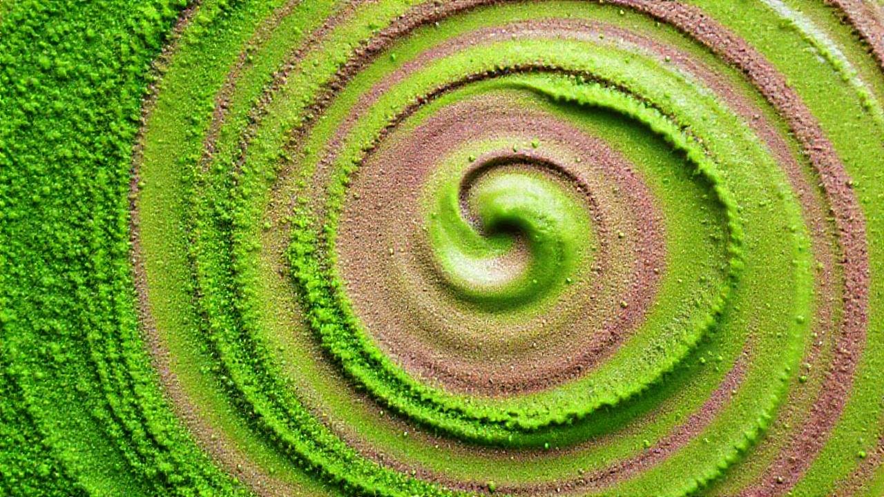 Espirulina natural, energía y vitalidad