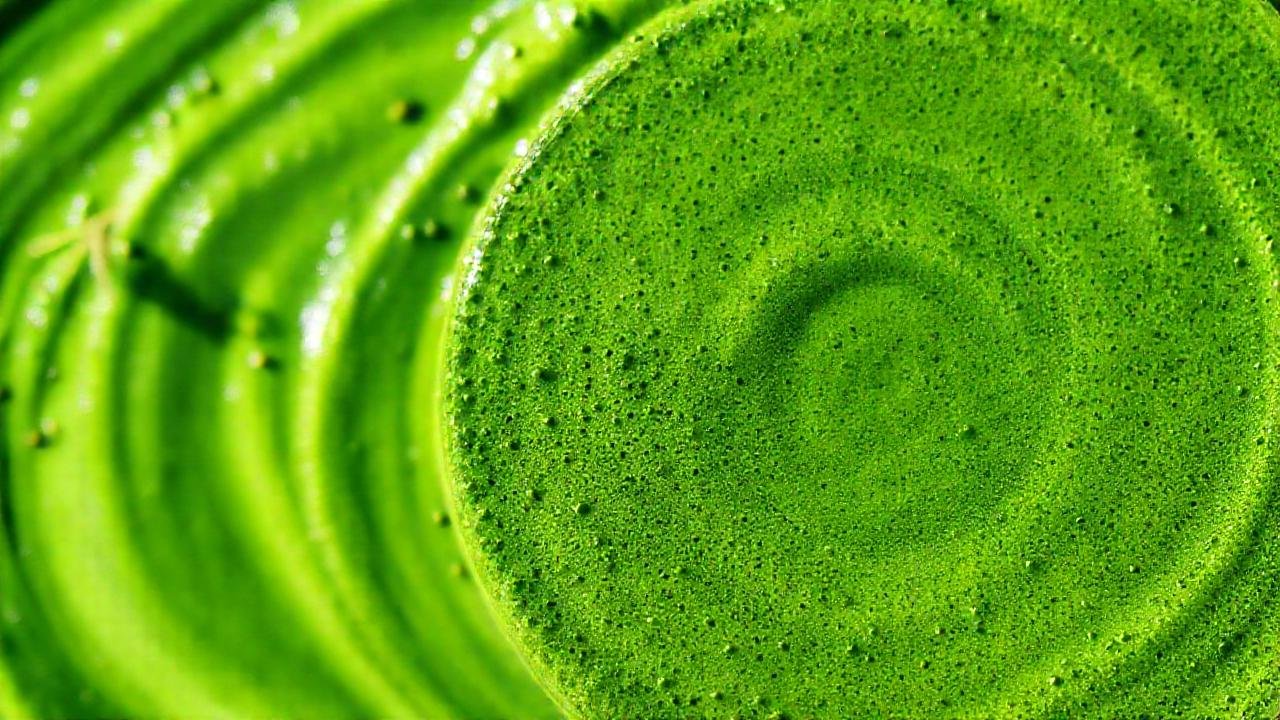 Batido de espirulina: verde, saludable y abstracto