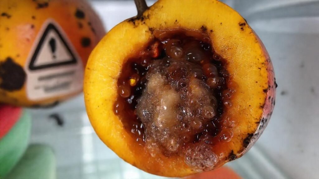 La fruta podrida anuncia un peligro imminente