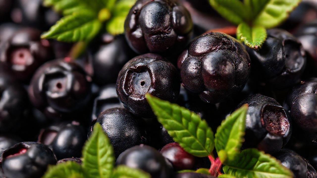 Moras oscuras: textura y ciencia